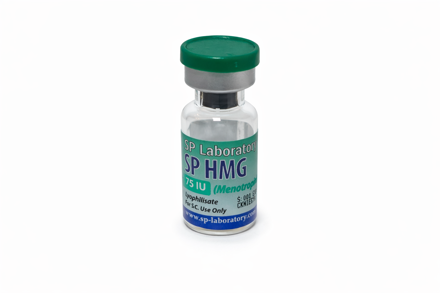 HMG